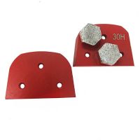 Lavina diamond grinding disc with two segments