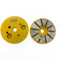 BEVELED 10 SEGMENT GRINDING PUCK