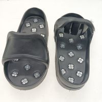 Epoxy Shoe-In Spikes